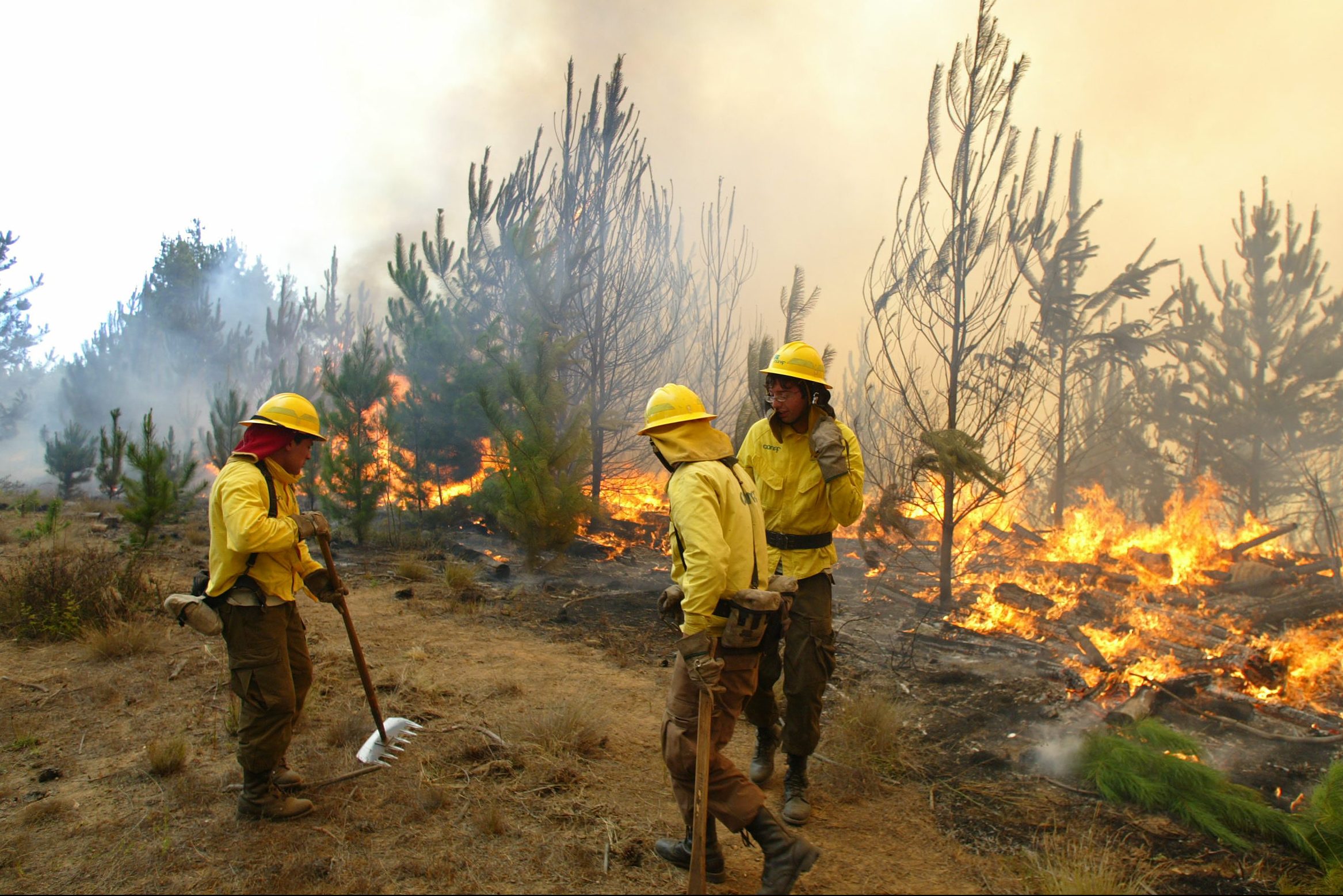 SE EXTIENDE LA RESTRICCIÓN DE QUEMAS AGRICOLAS Y FORESTALES